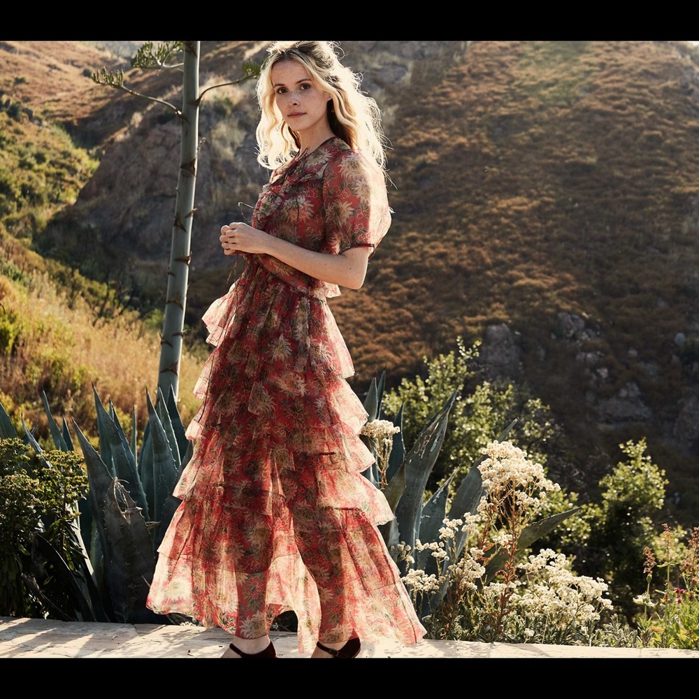 NWT DOEN Armando Dress // JARDIN DES PLANTES